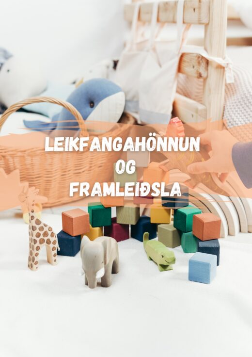 Leikfangahönnun og framleiðsla