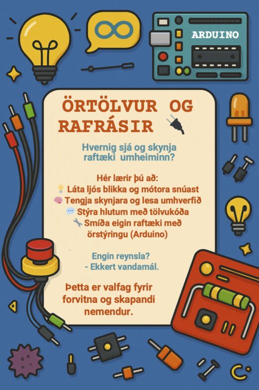 ÖRTÖLVUR OG RAFRÁSIR 🔌